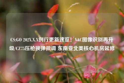 CS:GO 202X.X.X例行更新速览!VAC图像识别再升级/CZ75压枪换弹微调 东南亚北美核心机房延修