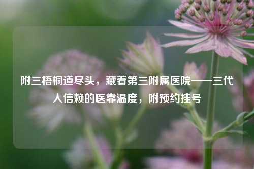 附三梧桐道尽头，藏着第三附属医院——三代人信赖的医靠温度，附预约挂号