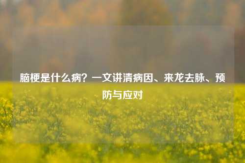 脑梗是什么病？一文讲清病因、来龙去脉、预防与应对