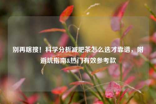 别再瞎搜！科学分析减肥茶怎么选才靠谱，附避坑指南&热门有效参考款