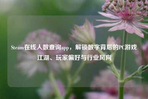 Steam在线人数查询app,解锁数字背后的PC游戏江湖、玩家偏好与行业风向