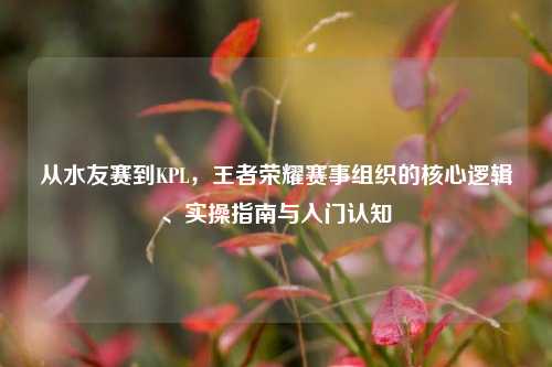从水友赛到KPL,王者荣耀赛事组织的核心逻辑、实操指南与入门认知