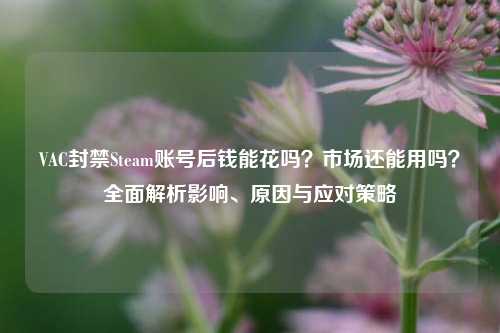 VAC封禁Steam账号后钱能花吗?市场还能用吗?全面解析影响、原因与应对策略
