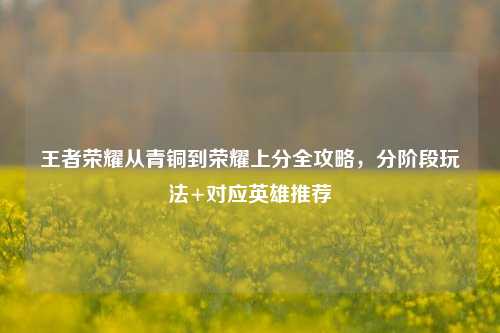 王者荣耀从青铜到荣耀上分全攻略,分阶段玩法+对应英雄推荐