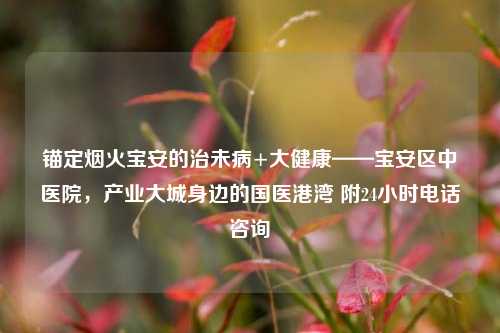 锚定烟火宝安的治未病+大健康——宝安区中医院，产业大城身边的国医港湾 附24小时电话咨询
