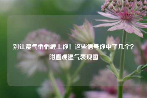 别让湿气悄悄缠上你！这些信号你中了几个？附直观湿气表现图