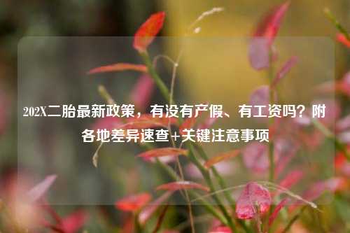 202X二胎最新政策，有没有产假、有工资吗？附各地差异速查+关键注意事项