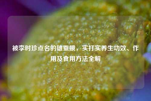 被李时珍点名的雄蚕蛾，实打实养生功效、作用及食用方法全解