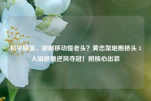 和平精英，被嘲移动慢老头？黄忠架炮断桥头 3人组绝境逆风夺冠！附核心出装