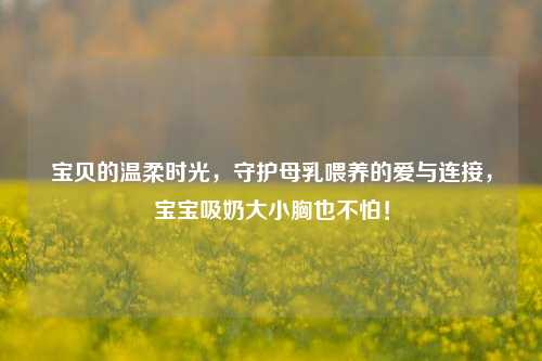 宝贝的温柔时光，守护母乳喂养的爱与连接，宝宝吸奶大小胸也不怕！