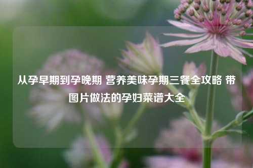 从孕早期到孕晚期 营养美味孕期三餐全攻略 带图片做法的孕妇菜谱大全