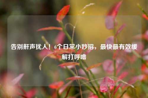 告别鼾声扰人！6个日常小妙招，最快最有效缓解打呼噜