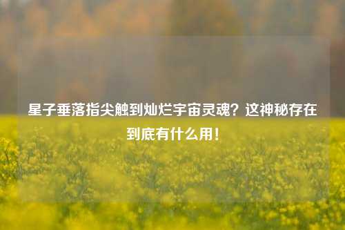 星子垂落指尖触到灿烂宇宙灵魂？这神秘存在到底有什么用！