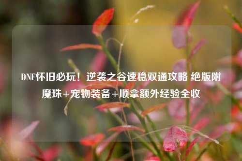 DNF怀旧必玩!逆袭之谷速稳双通攻略 绝版附魔珠+宠物装备+顺拿额外经验全收