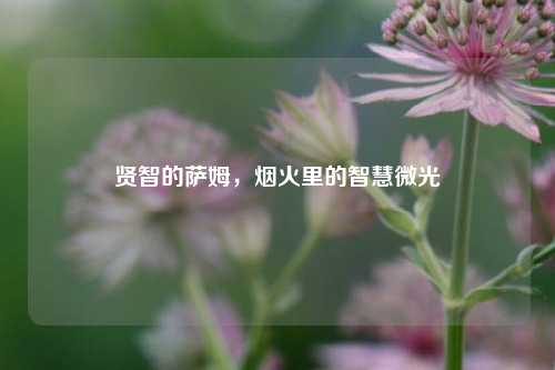 贤智的萨姆，烟火里的智慧微光