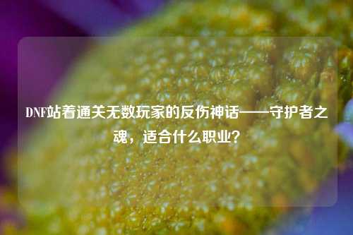 DNF站着通关无数玩家的反伤神话——守护者之魂，适合什么职业？