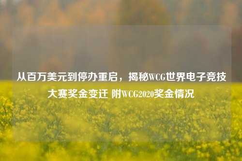 从百万美元到停办重启，揭秘WCG世界电子竞技大赛奖金变迁 附WCG2020奖金情况