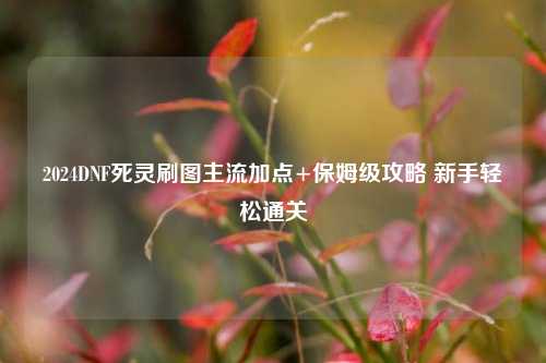 2024DNF死灵刷图主流加点+保姆级攻略 新手轻松通关