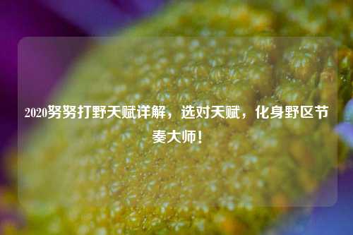 2020努努打野天赋详解，选对天赋，化身野区节奏大师！