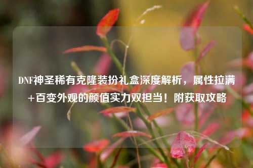 DNF神圣稀有克隆装扮礼盒深度解析，属性拉满+百变外观的颜值实力双担当！附获取攻略