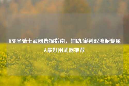DNF圣骑士武器选择指南，辅助/审判双流派专属&最好用武器推荐