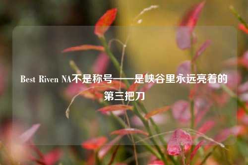 Best Riven NA不是称号——是峡谷里永远亮着的第三把刀
