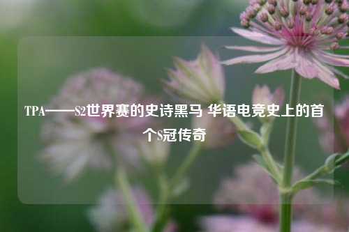 TPA——S2世界赛的史诗黑马 华语电竞史上的首个S冠传奇