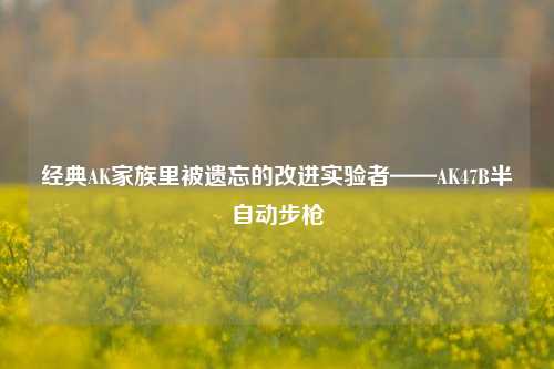 经典AK家族里被遗忘的改进实验者——AK47B半自动步枪