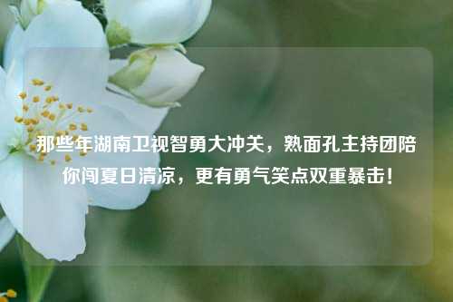 那些年湖南卫视智勇大冲关，熟面孔主持团陪你闯夏日清凉，更有勇气笑点双重暴击！