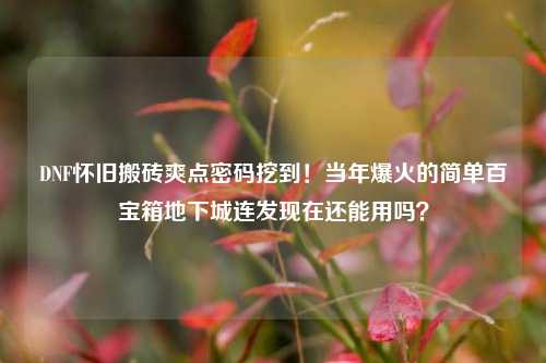 DNF怀旧搬砖爽点密码挖到！当年爆火的简单百宝箱地下城连发现在还能用吗？