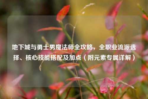 地下城与勇士男魔法师全攻略,全职业流派选择、核心技能搭配及加点(附元素专属详解)