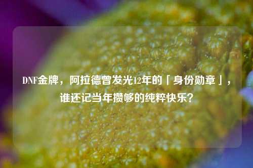 DNF金牌，阿拉德曾发光12年的「身份勋章」，谁还记当年攒够的纯粹快乐？
