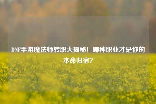 DNF手游魔法师转职大揭秘！哪种职业才是你的本命归宿？