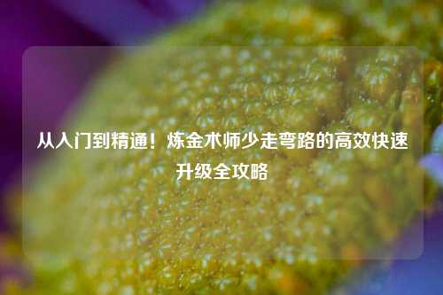 从入门到精通！炼金术师少走弯路的高效快速升级全攻略