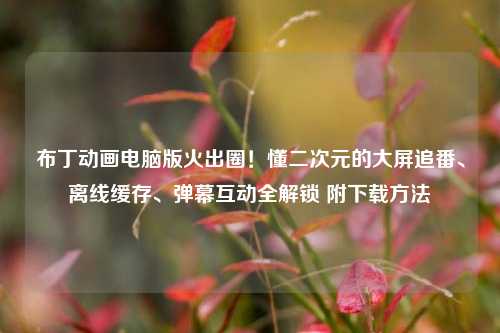 布丁动画电脑版火出圈！懂二次元的大屏追番、离线缓存、弹幕互动全解锁 附下载方法