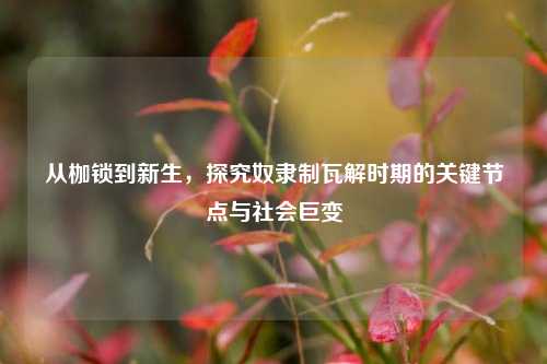 从枷锁到新生，探究奴隶制瓦解时期的关键节点与社会巨变
