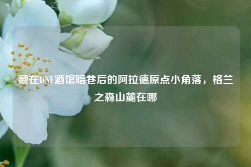 藏在DNF酒馆暗巷后的阿拉德原点小角落，格兰之森山麓在哪