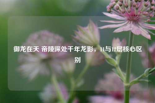 御龙在天 帝陵深处千年龙影,11与12层核心区别