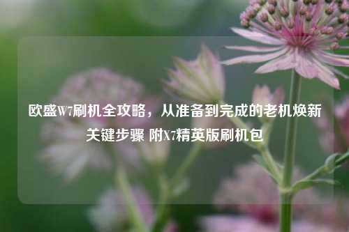 欧盛W7刷机全攻略，从准备到完成的老机焕新关键步骤 附X7精英版刷机包