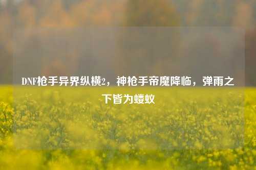 DNF枪手异界纵横2，神枪手帝魔降临，弹雨之下皆为蝼蚁